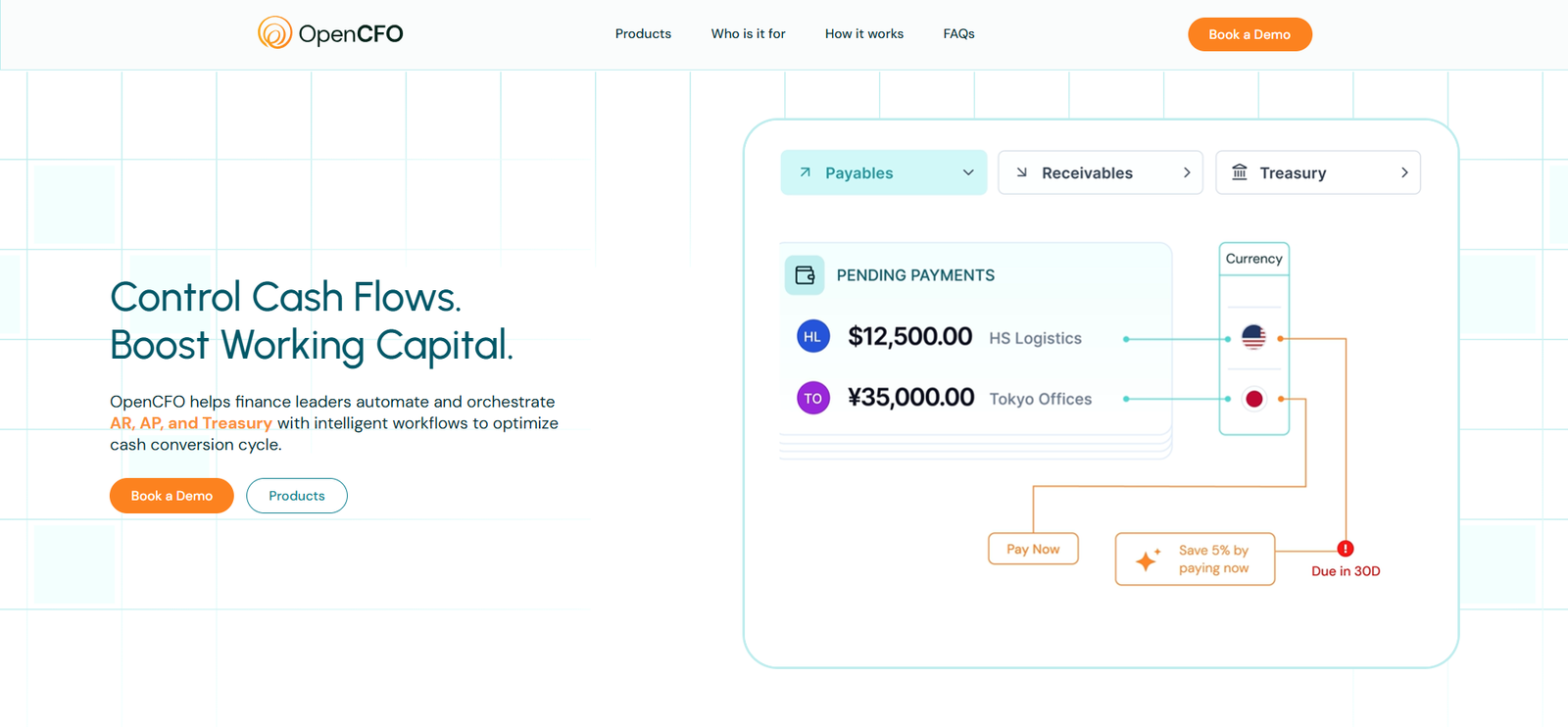 OpenCFO — Main View