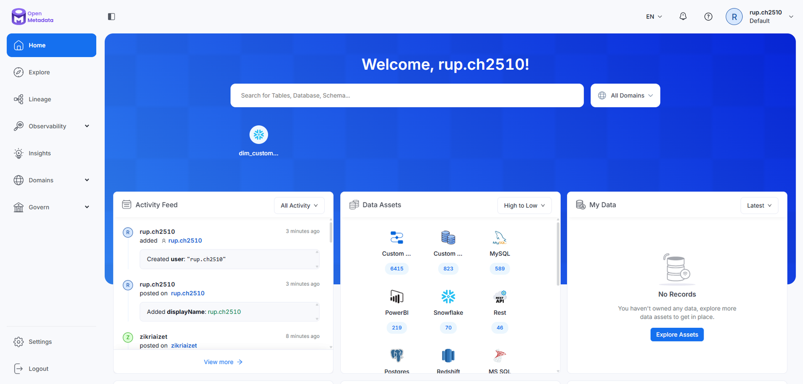 OpenMetadata — Main View